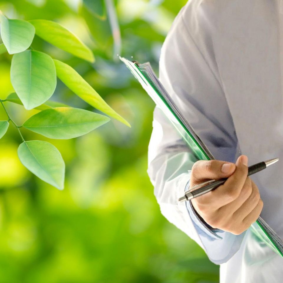 Scuola Nazionale di Naturopatia corsi in partenza ISPI Naturopatia